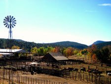 USA-Arizona-Cattle Ranch in Pleasant Valley